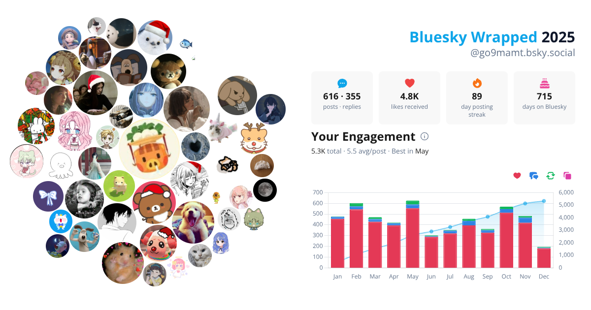 Your Bluesky Wrapped 2025 preview