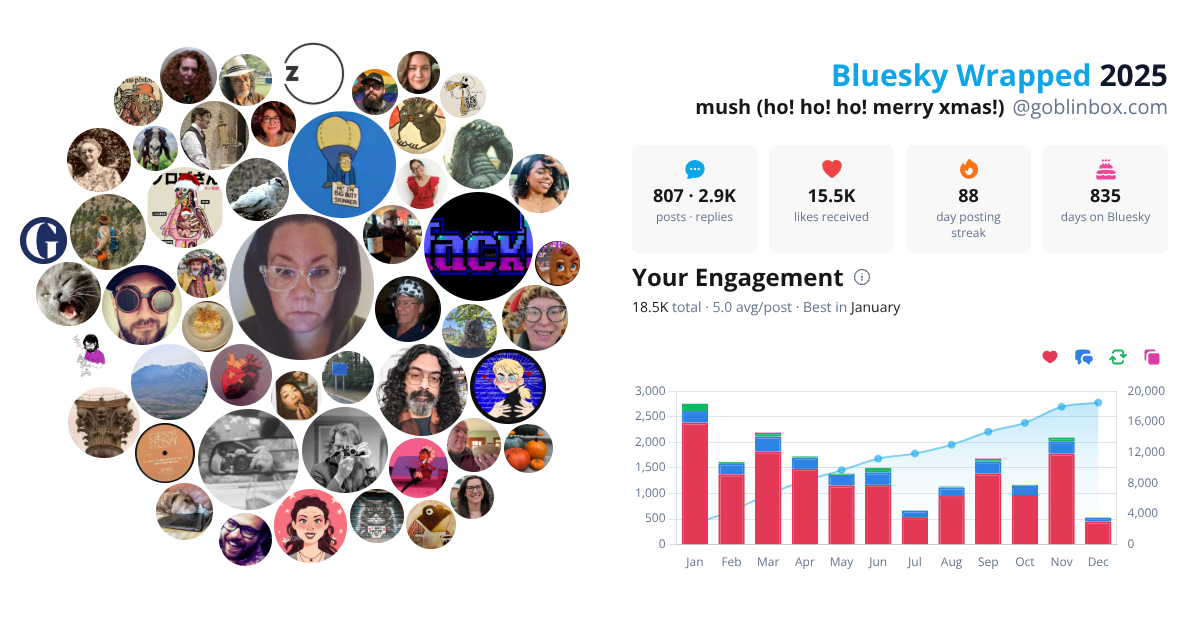 Your Bluesky Wrapped 2025 preview