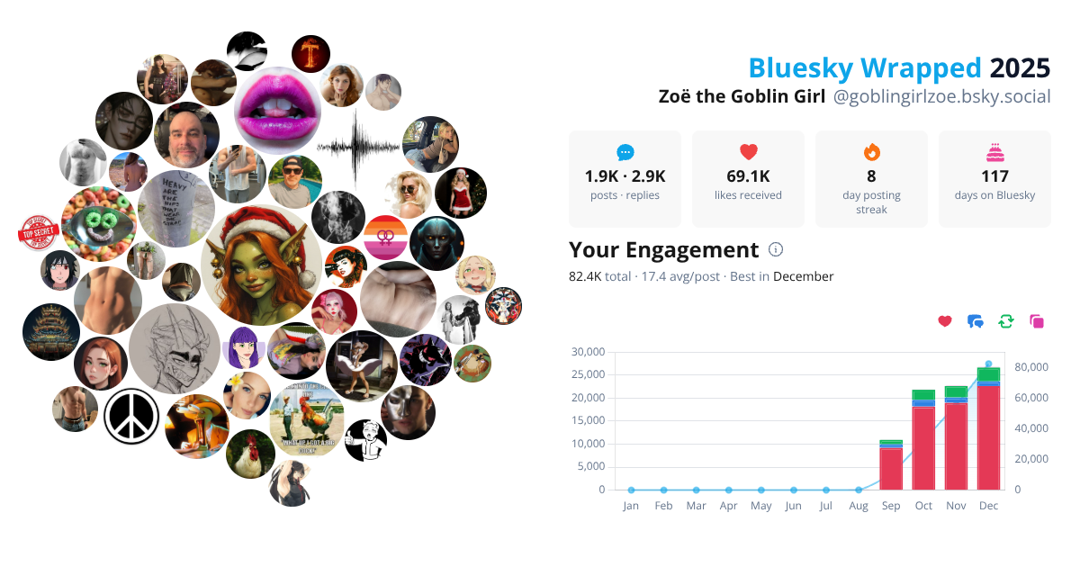 Your Bluesky Wrapped 2025 preview
