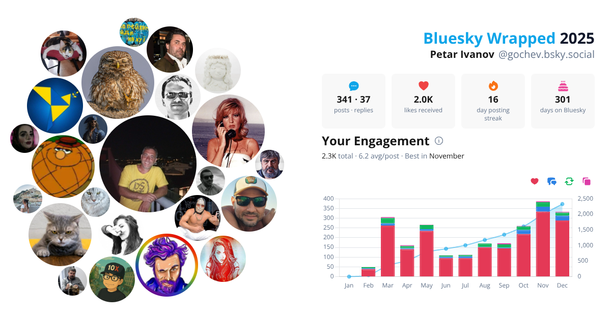 Your Bluesky Wrapped 2025 preview