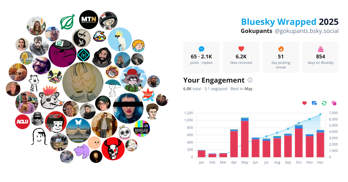 Your Bluesky Wrapped 2025 preview