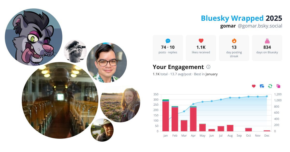 Your Bluesky Wrapped 2025 preview