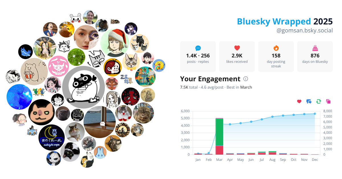 Your Bluesky Wrapped 2025 preview