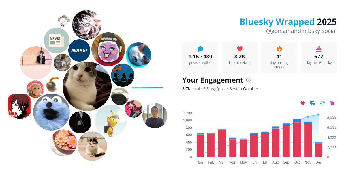 Your Bluesky Wrapped 2025 preview