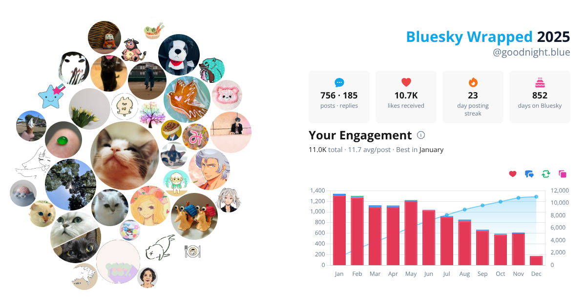 Your Bluesky Wrapped 2025 preview