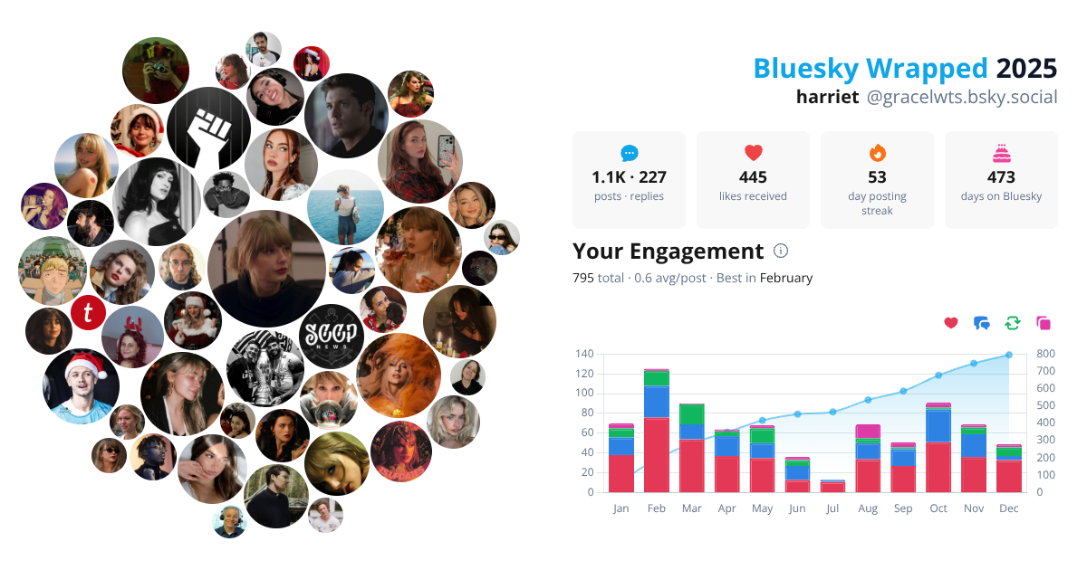 Your Bluesky Wrapped 2025 preview