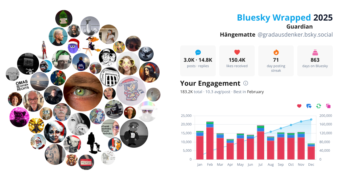 Your Bluesky Wrapped 2025 preview
