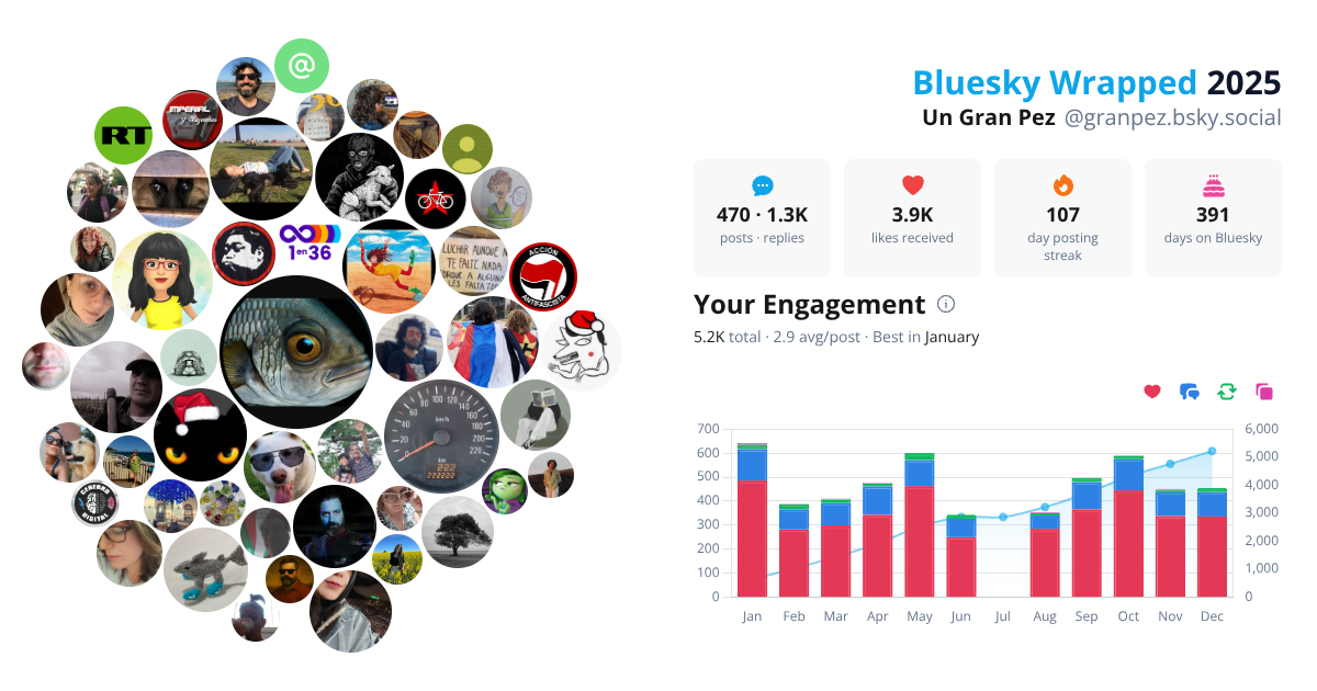 Your Bluesky Wrapped 2025 preview