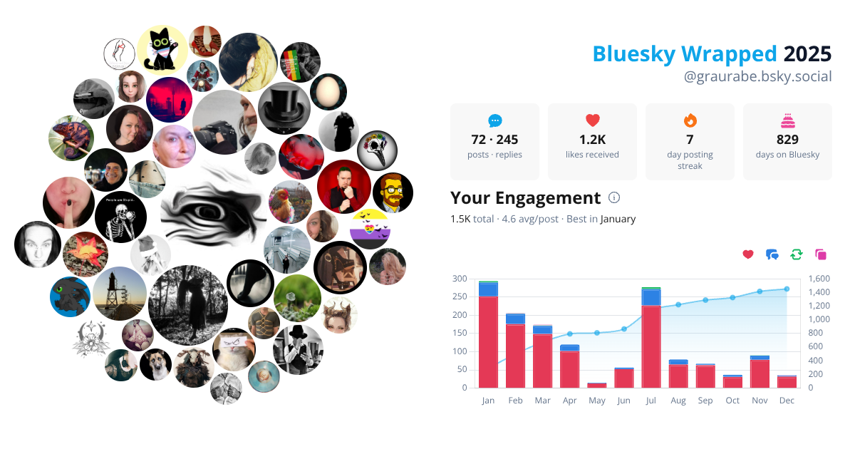 Your Bluesky Wrapped 2025 preview