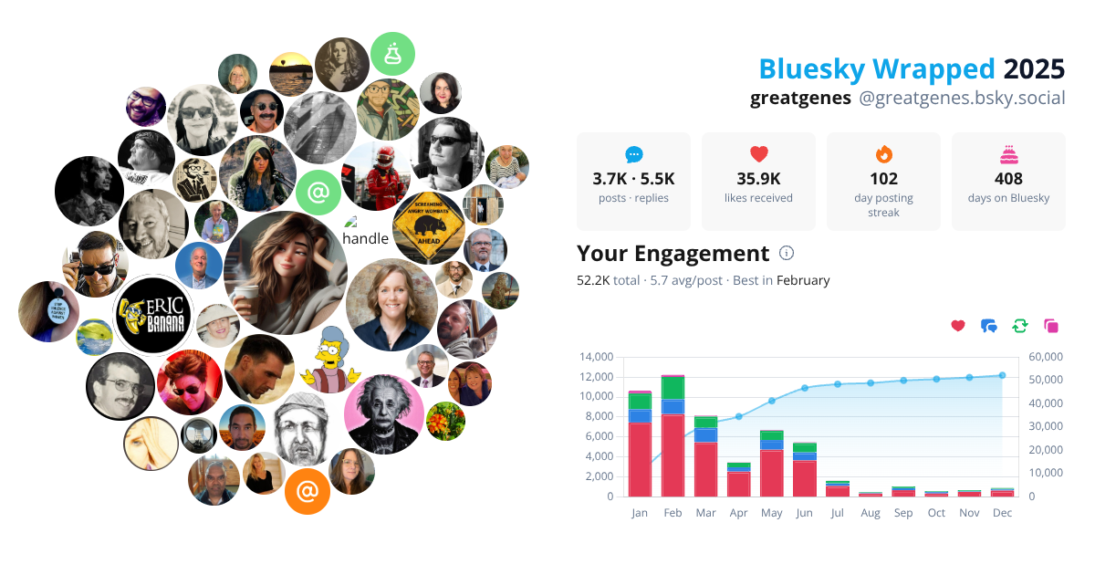 Your Bluesky Wrapped 2025 preview