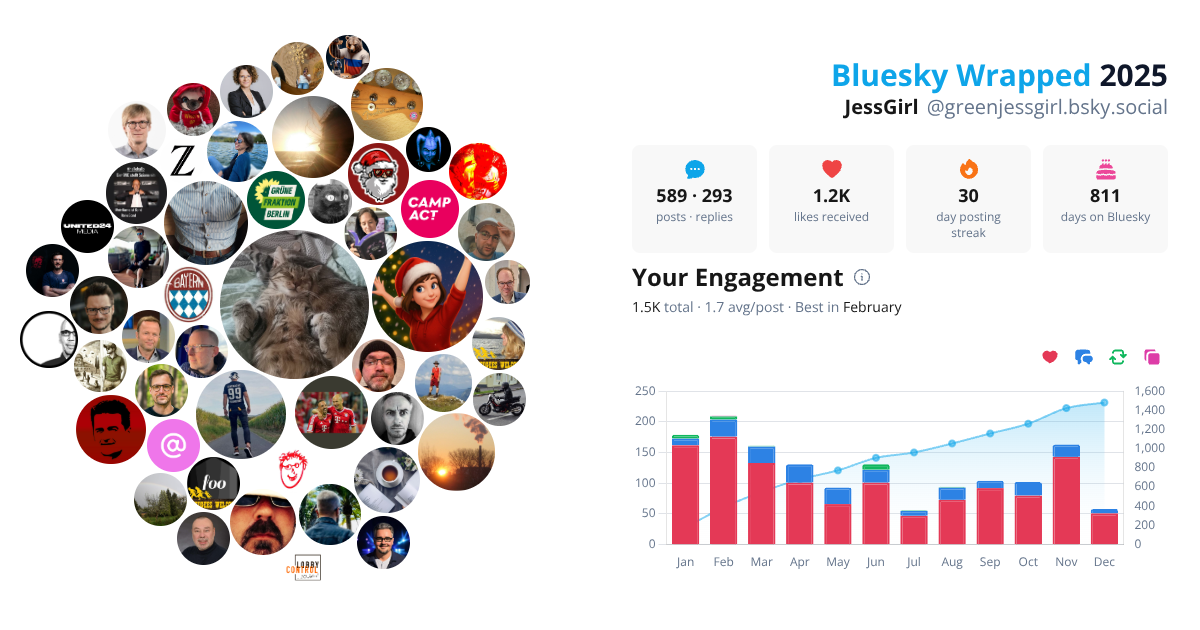 Your Bluesky Wrapped 2025 preview