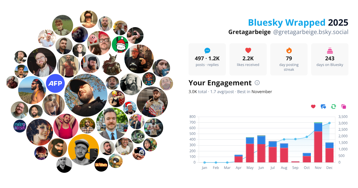 Your Bluesky Wrapped 2025 preview