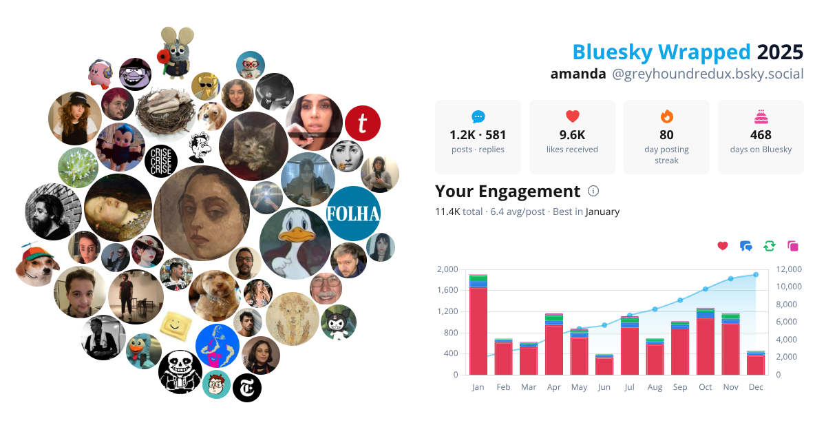Your Bluesky Wrapped 2025 preview