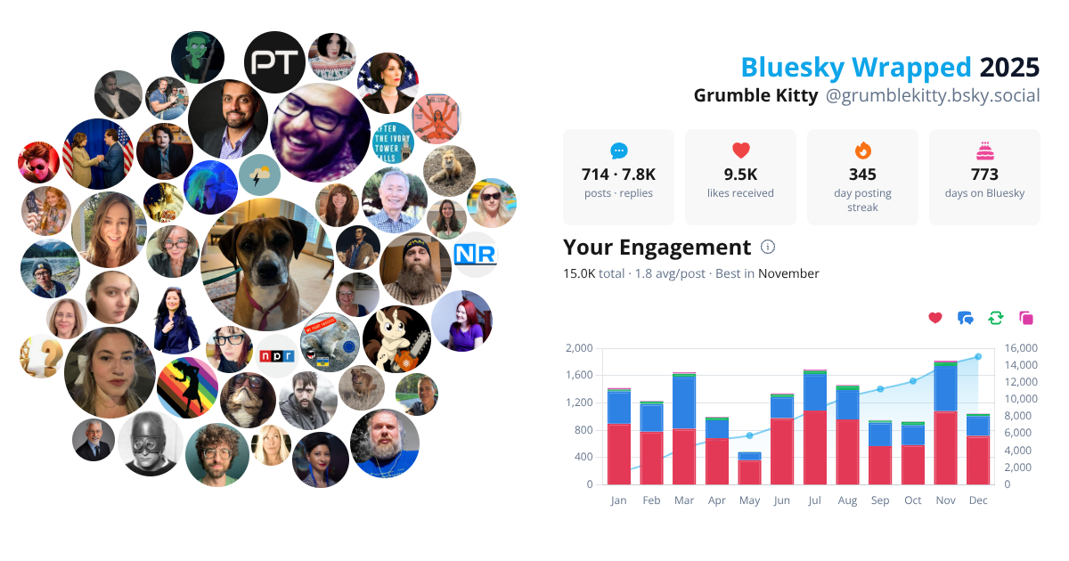 Your Bluesky Wrapped 2025 preview