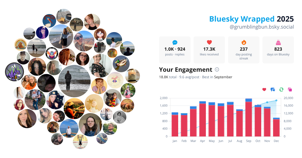 Your Bluesky Wrapped 2025 preview