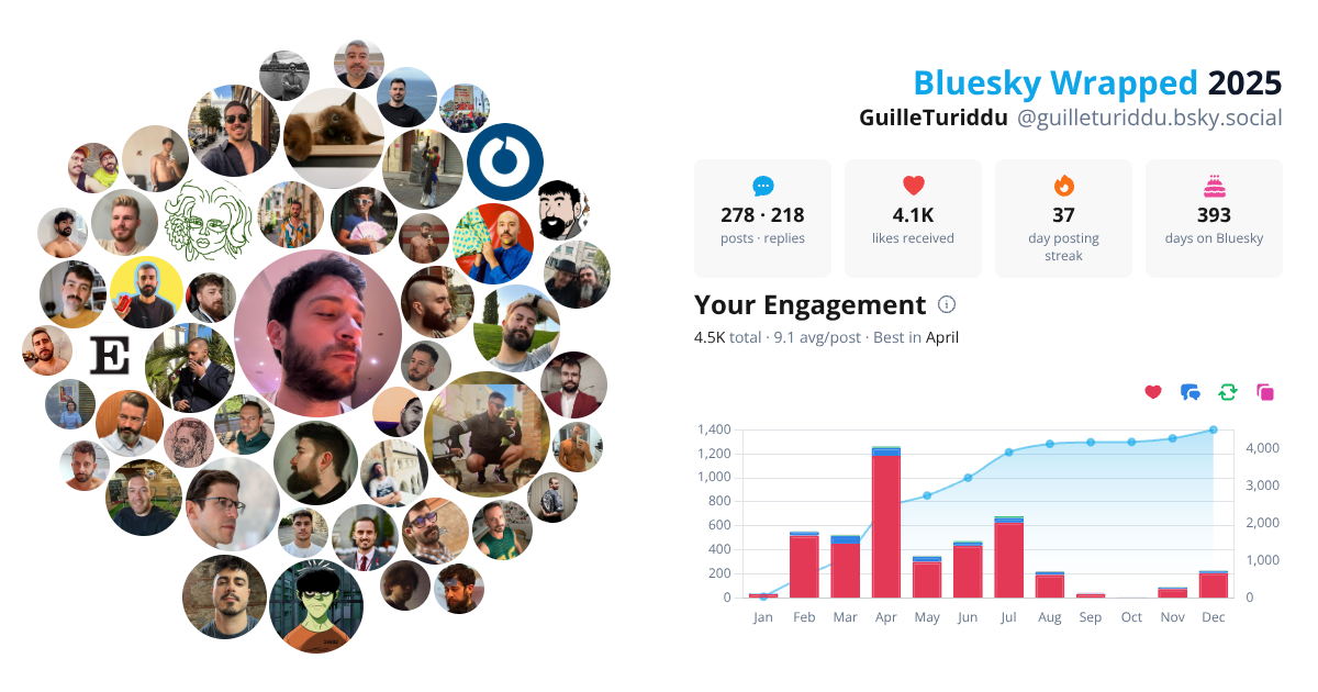 Your Bluesky Wrapped 2025 preview