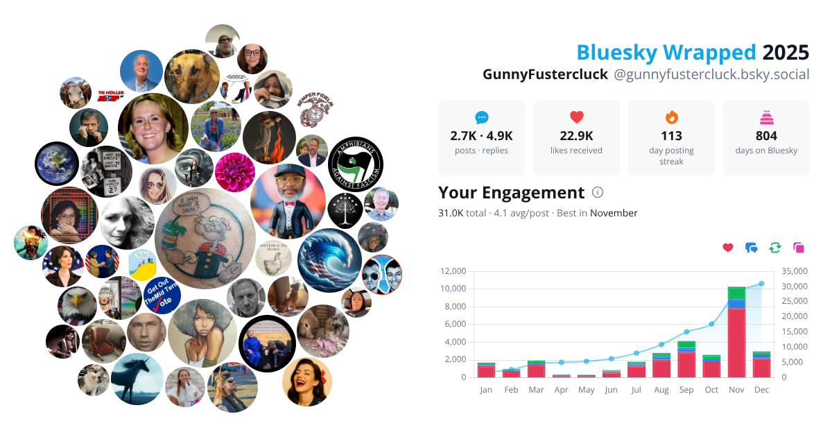Your Bluesky Wrapped 2025 preview