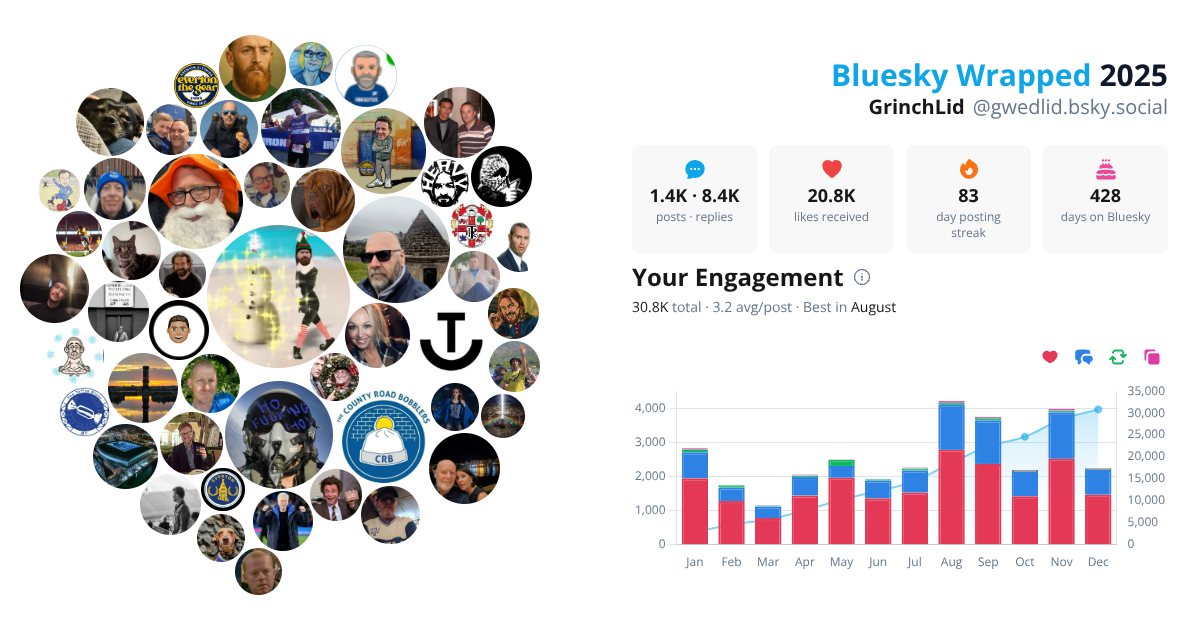 Your Bluesky Wrapped 2025 preview