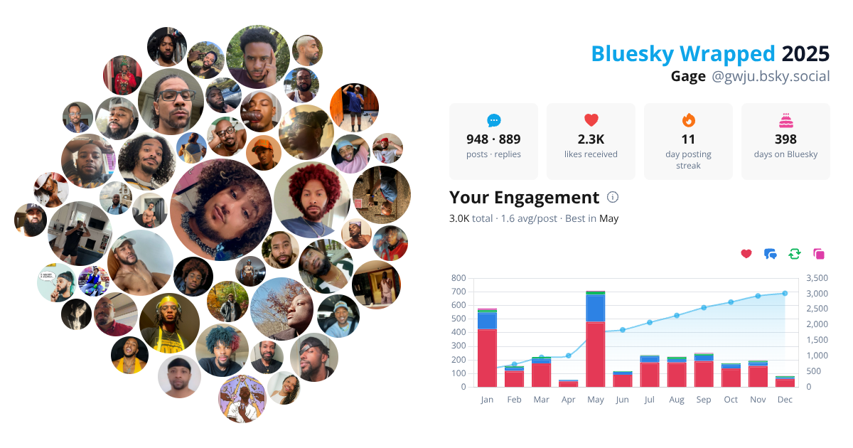 Your Bluesky Wrapped 2025 preview