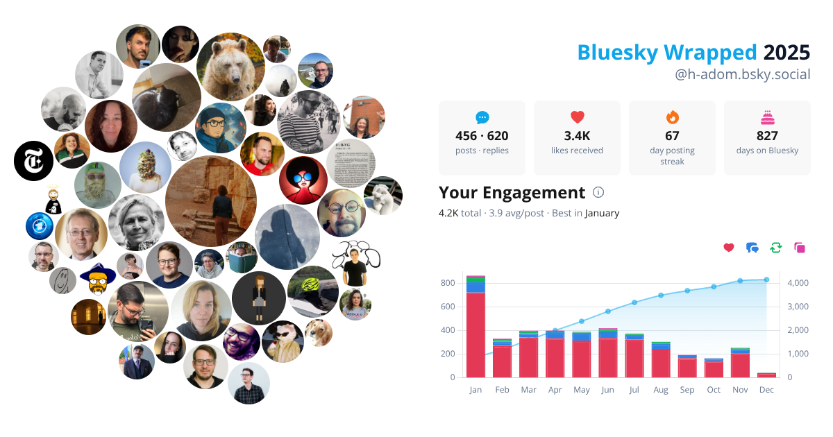 Your Bluesky Wrapped 2025 preview