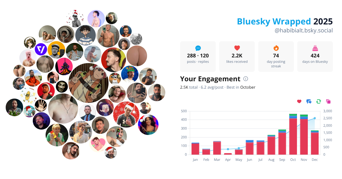 Your Bluesky Wrapped 2025 preview