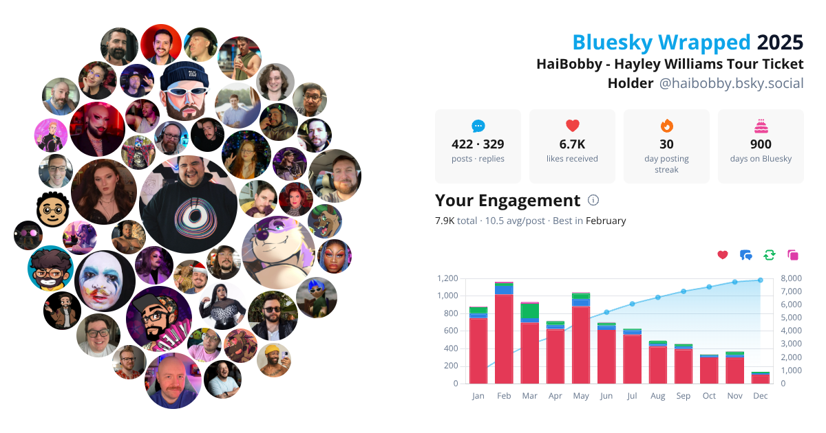 Your Bluesky Wrapped 2025 preview