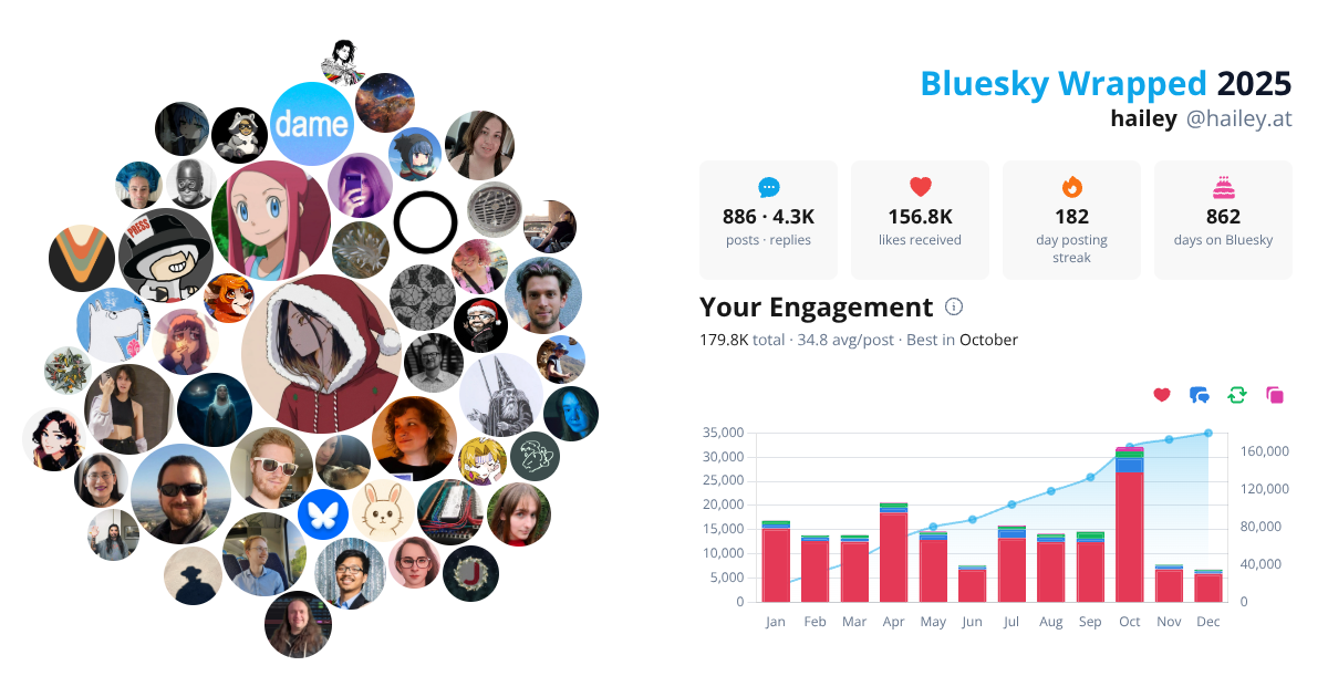 Your Bluesky Wrapped 2025 preview