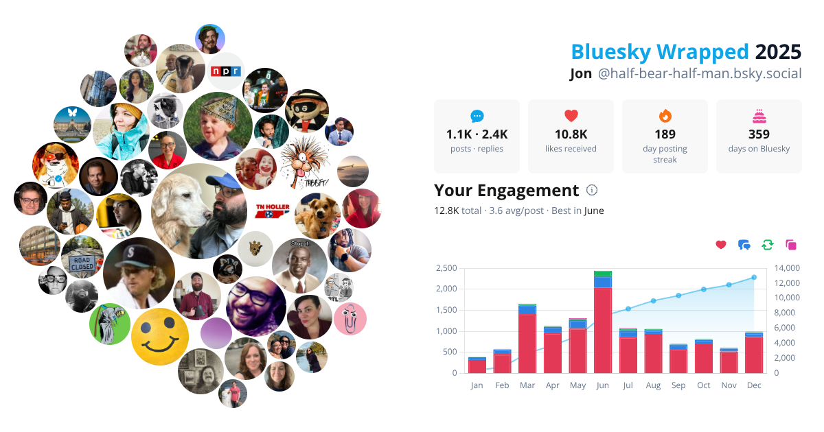Your Bluesky Wrapped 2025 preview