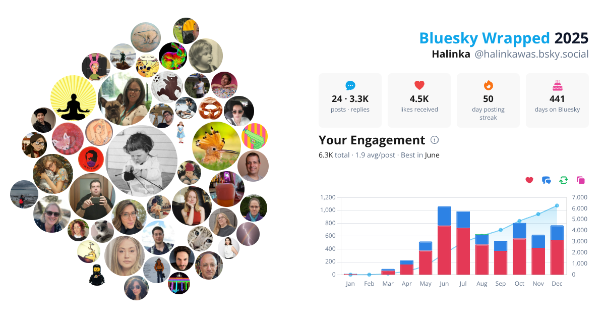 Your Bluesky Wrapped 2025 preview