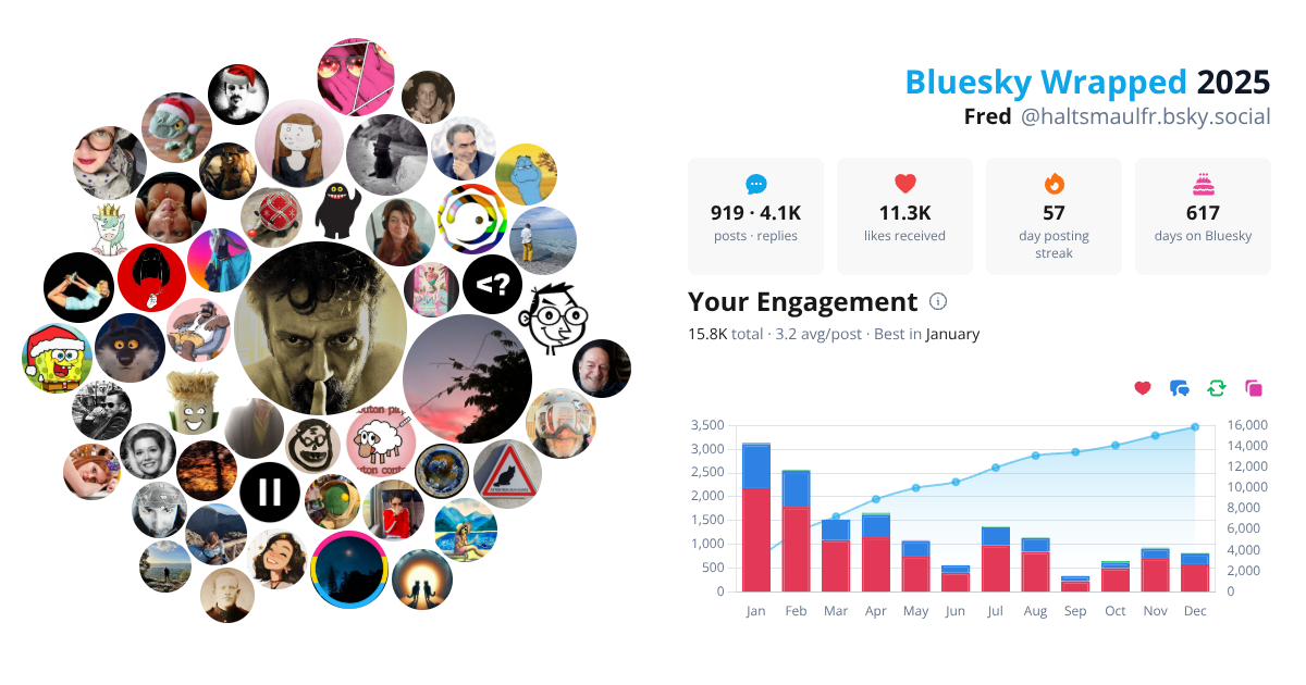 Your Bluesky Wrapped 2025 preview