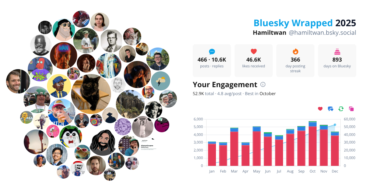 Your Bluesky Wrapped 2025 preview