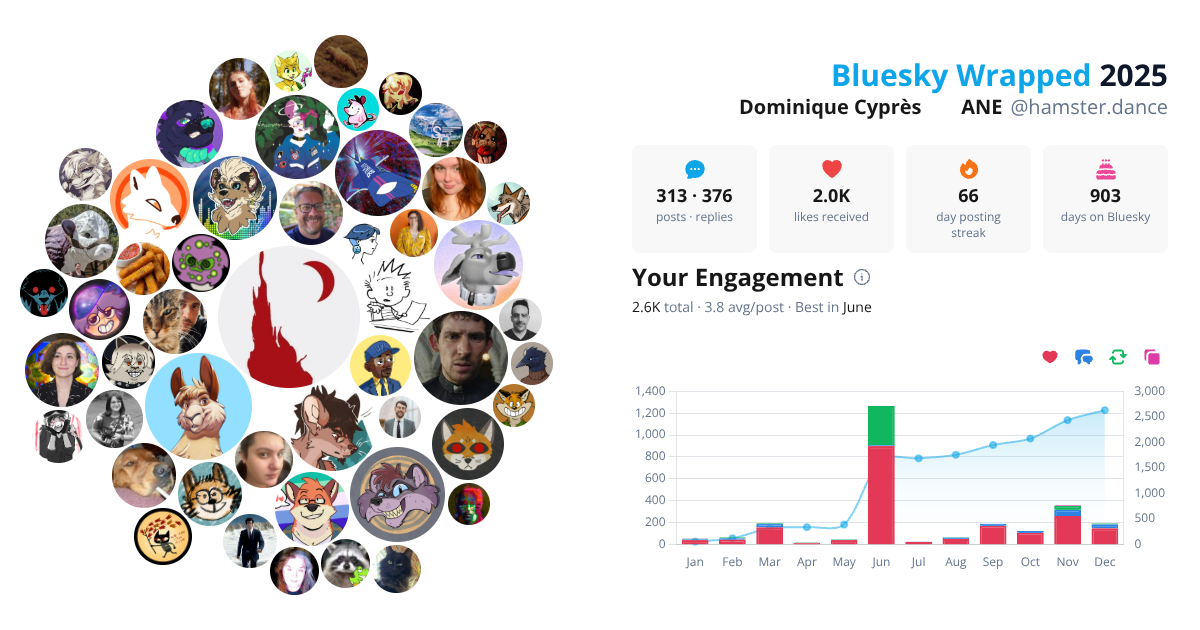 Your Bluesky Wrapped 2025 preview