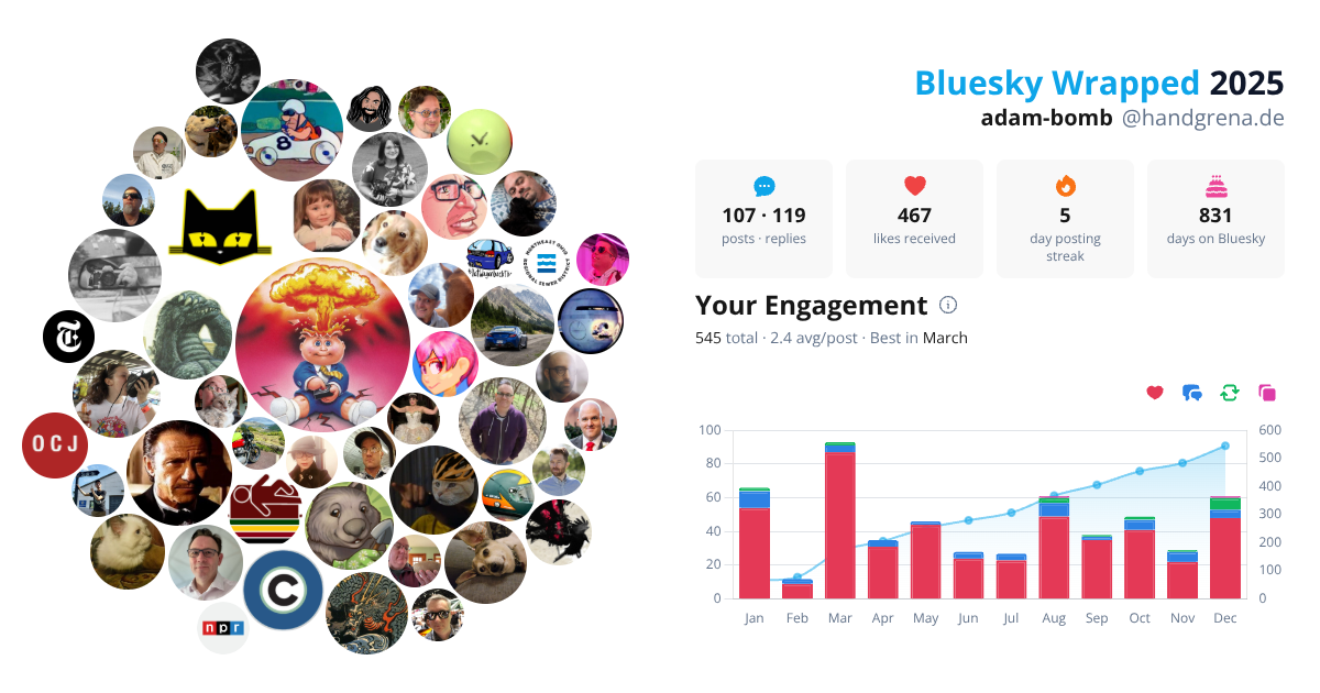Your Bluesky Wrapped 2025 preview