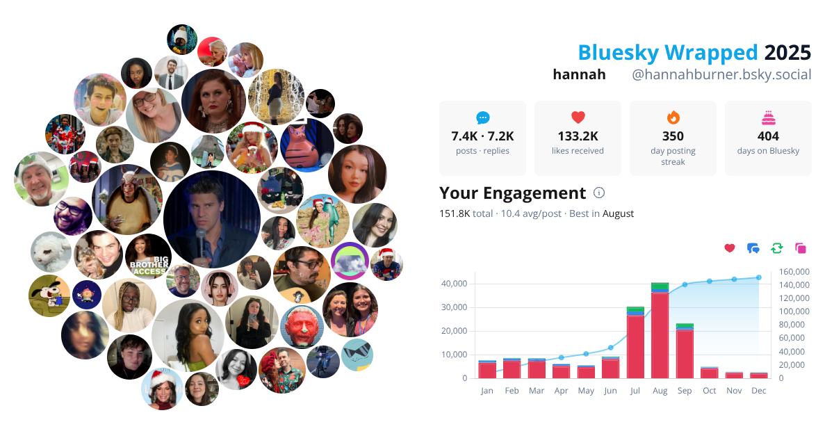 Your Bluesky Wrapped 2025 preview