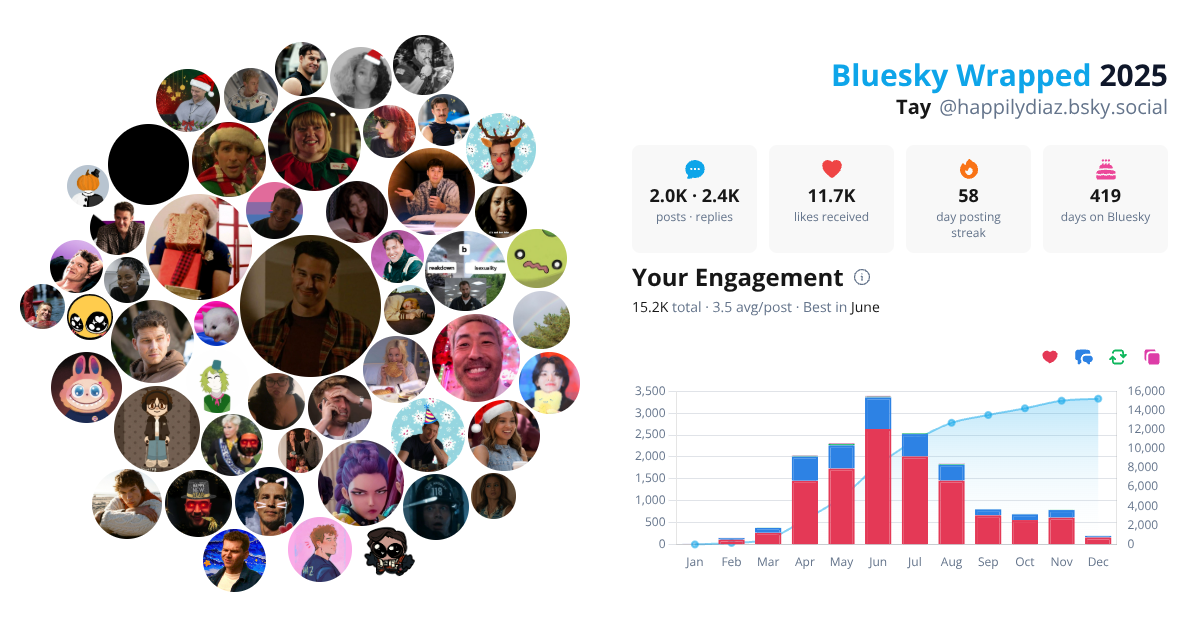 Your Bluesky Wrapped 2025 preview
