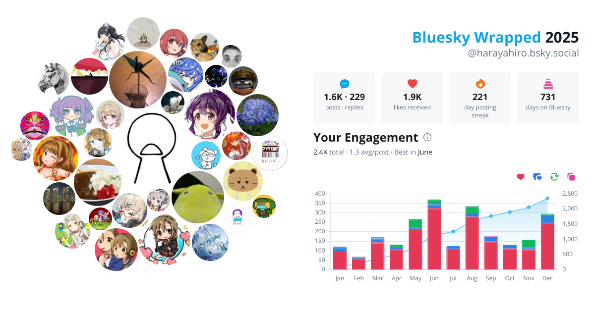 Your Bluesky Wrapped 2025 preview
