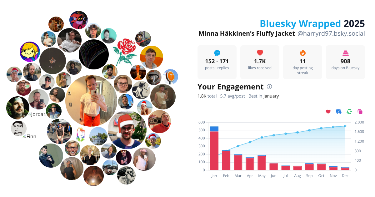 Your Bluesky Wrapped 2025 preview