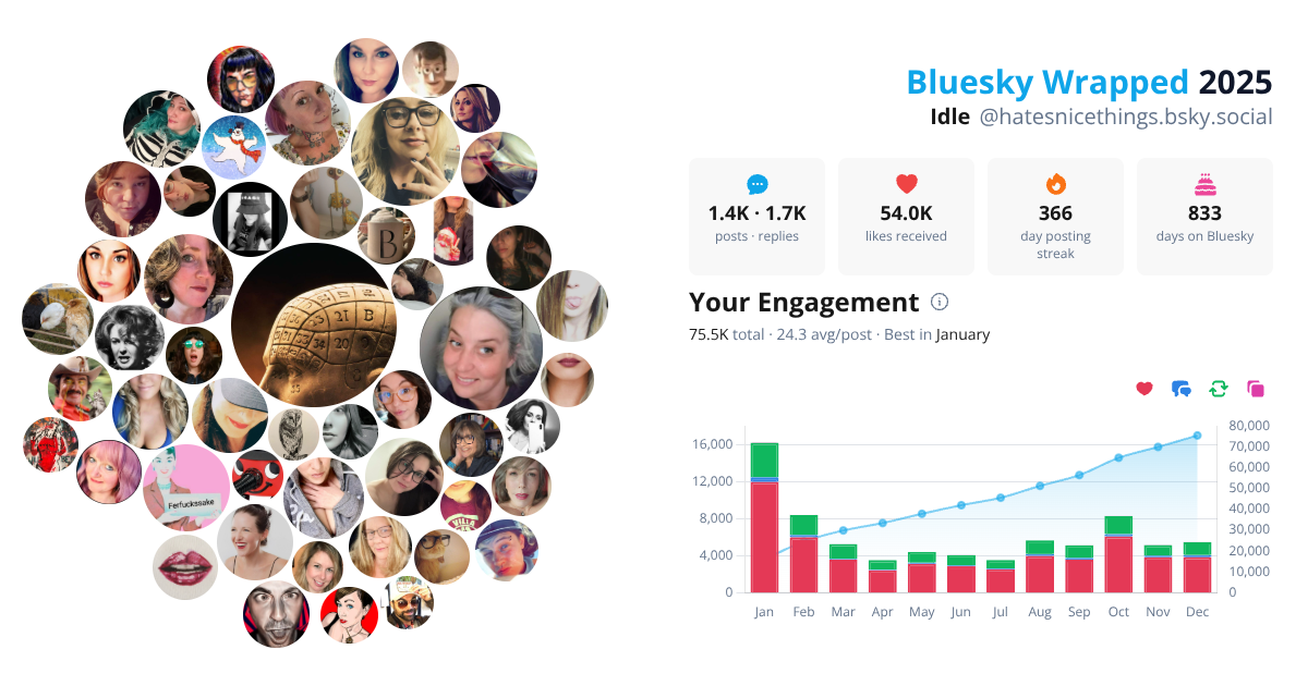 Your Bluesky Wrapped 2025 preview