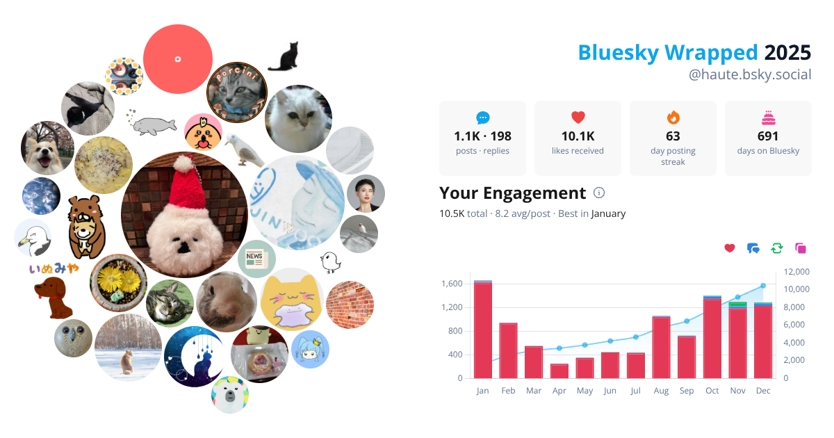 Your Bluesky Wrapped 2025 preview