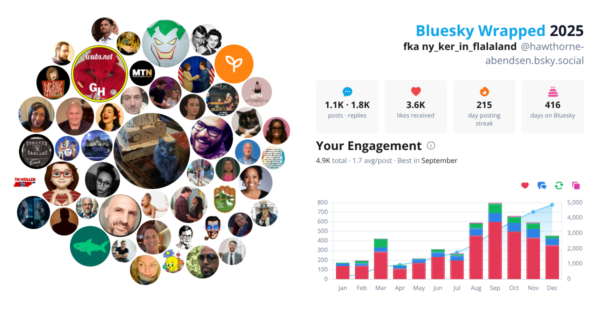 Your Bluesky Wrapped 2025 preview