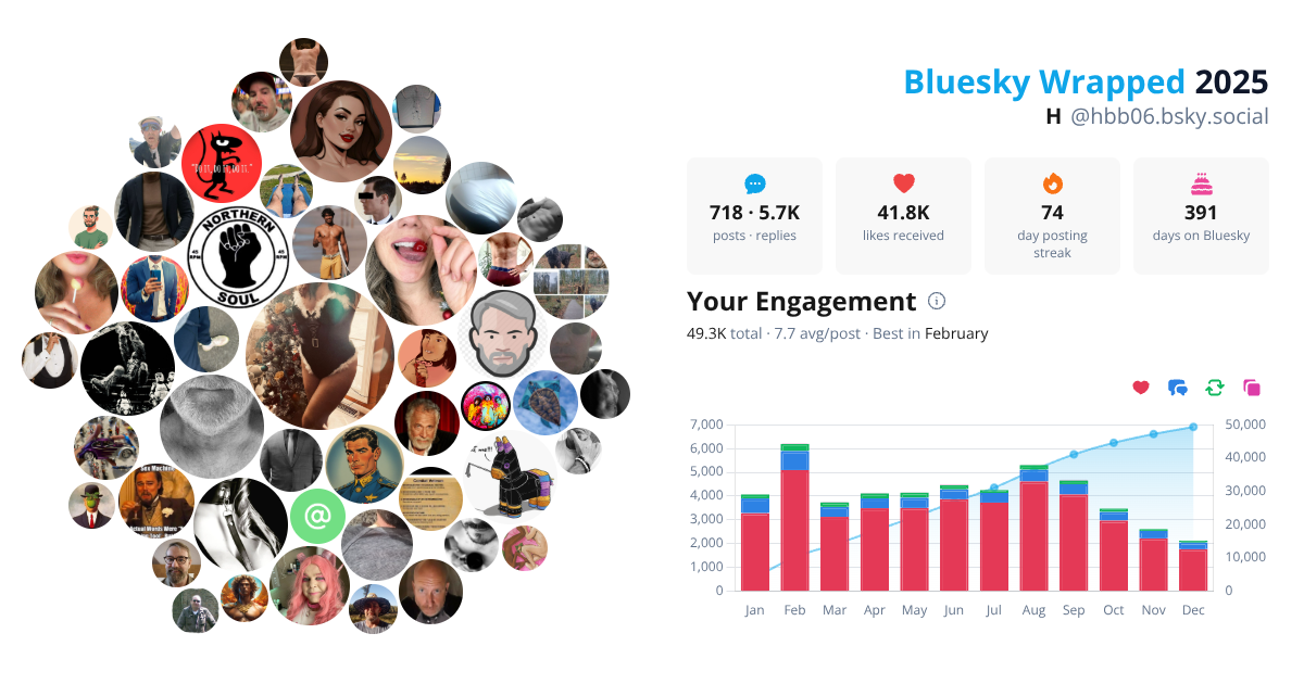 Your Bluesky Wrapped 2025 preview