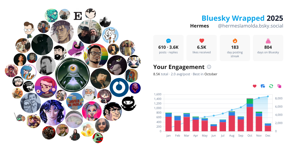 Your Bluesky Wrapped 2025 preview