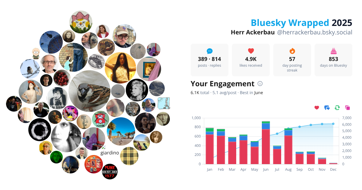 Your Bluesky Wrapped 2025 preview