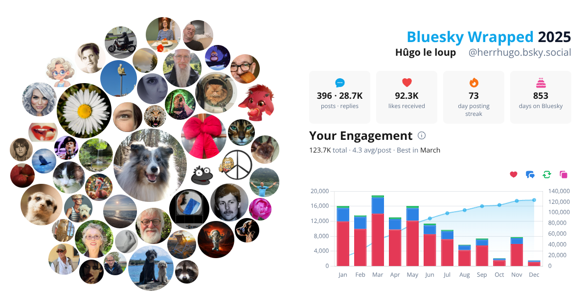 Your Bluesky Wrapped 2025 preview