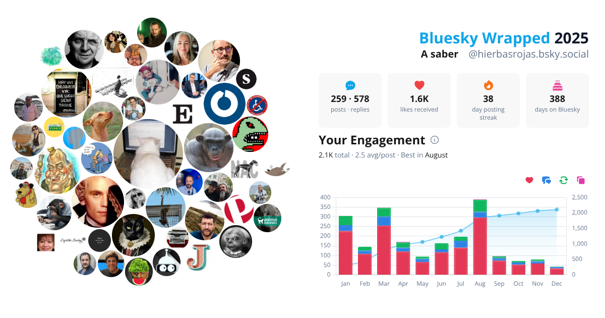 Your Bluesky Wrapped 2025 preview