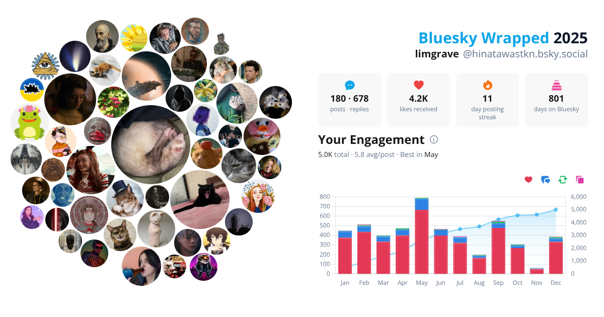 Your Bluesky Wrapped 2025 preview