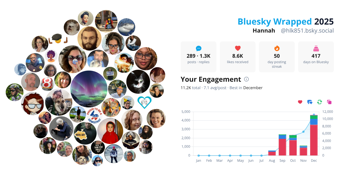 Your Bluesky Wrapped 2025 preview