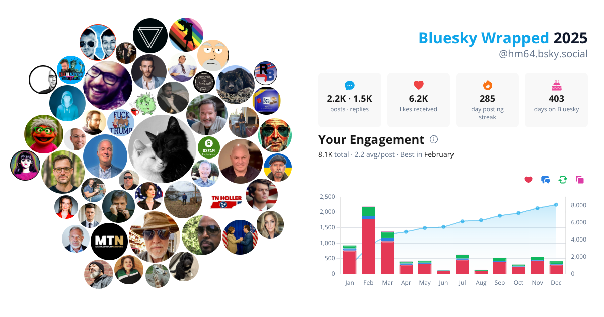 Your Bluesky Wrapped 2025 preview