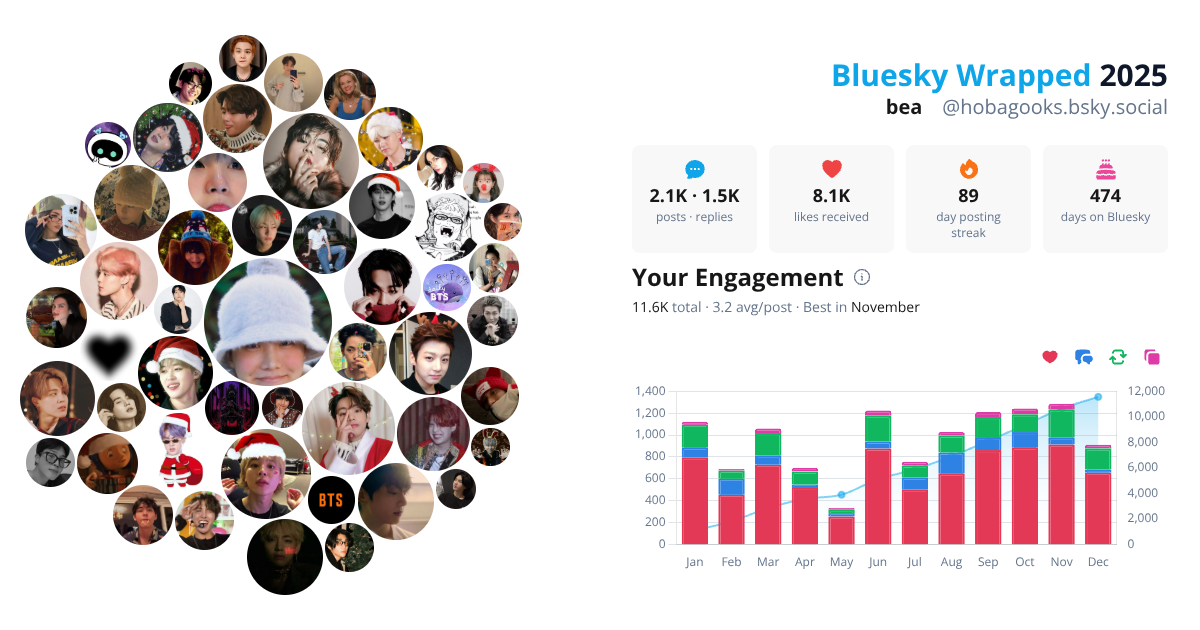 Your Bluesky Wrapped 2025 preview