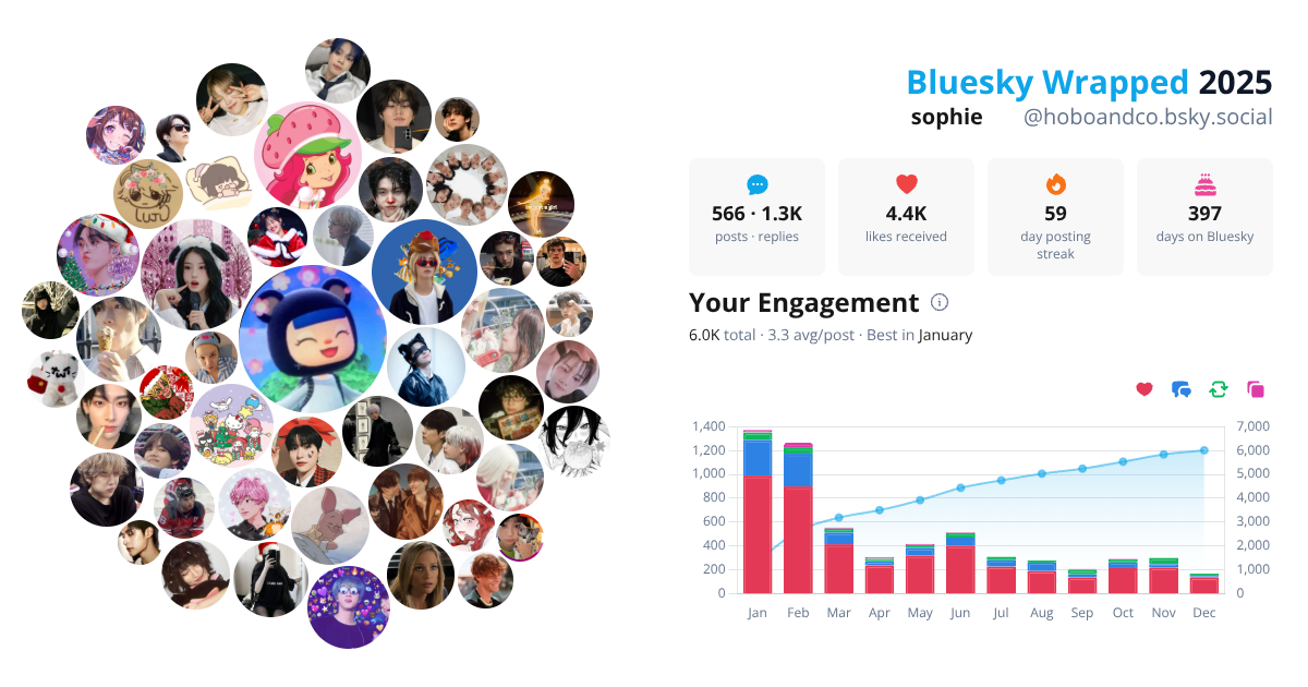 Your Bluesky Wrapped 2025 preview